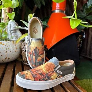 Vans Desert Cactus Slip-On Sneakers